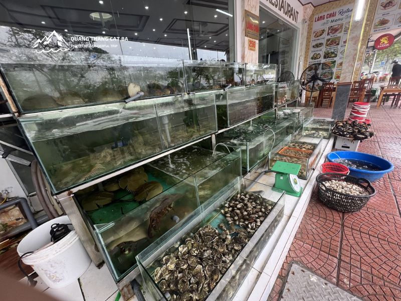 Lang Chai Restaurant - Cat Ba