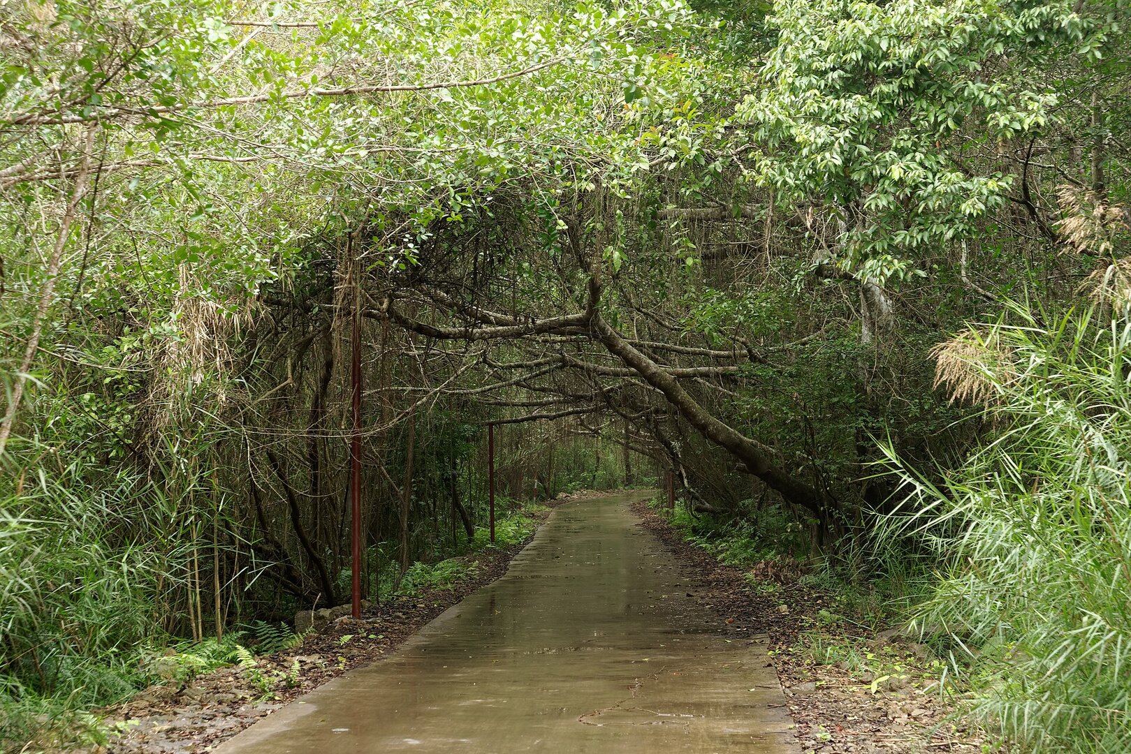 Viet Hai Village Gate
