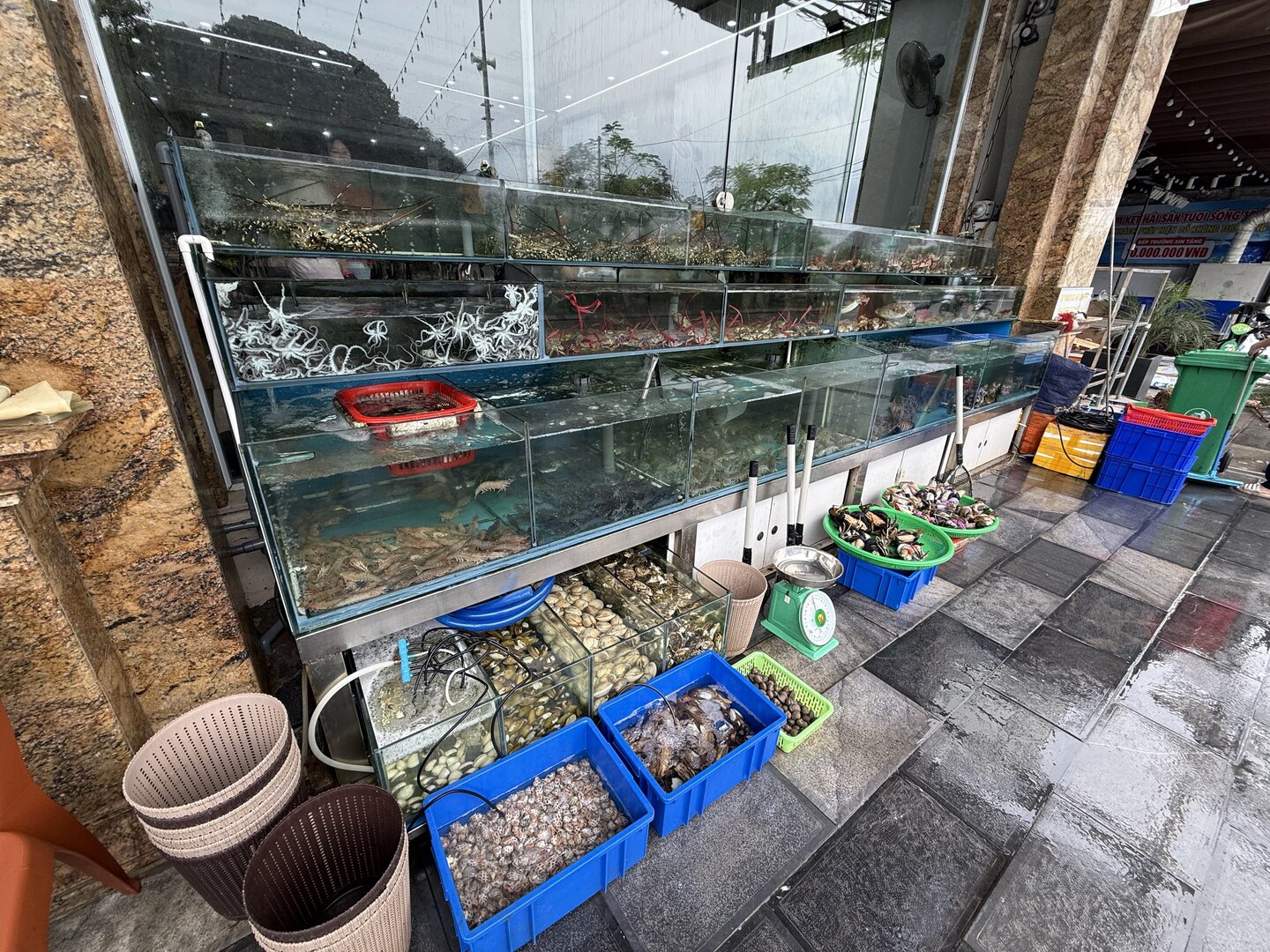 Cat Ba Vu Duong Seafood Restaurant