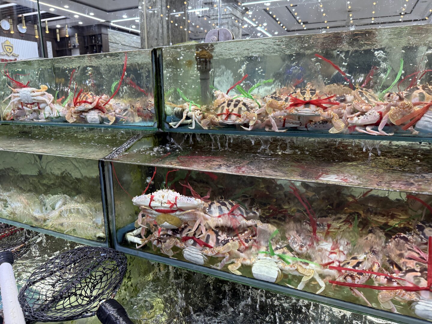 Cat Ba Vu Duong Seafood Restaurant