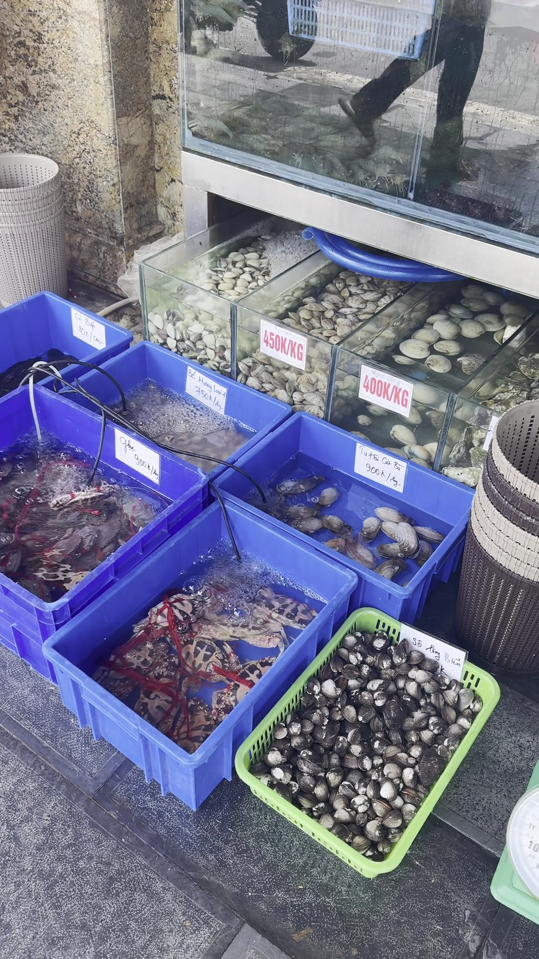 Cat Ba Vu Duong Seafood Restaurant