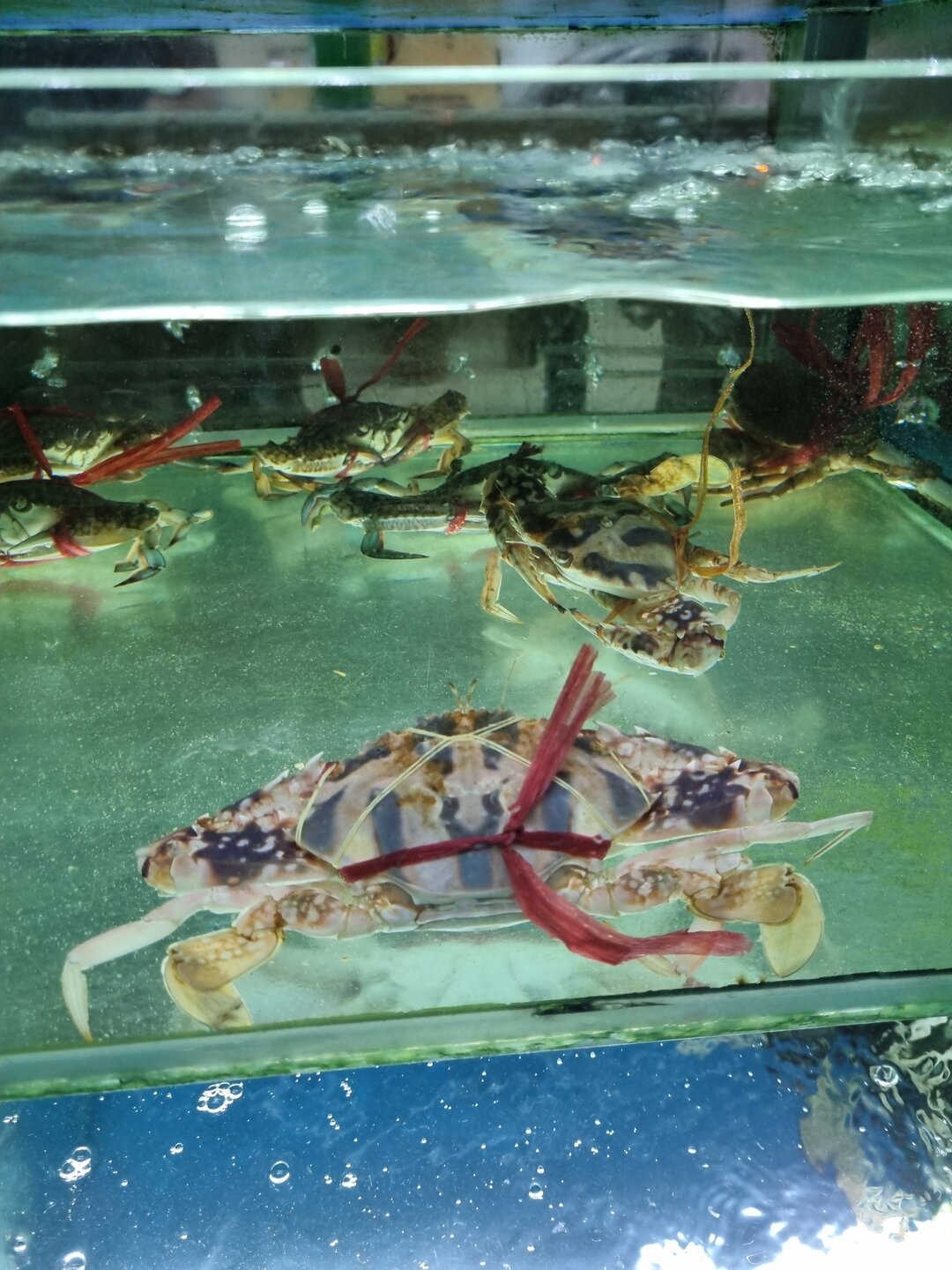 Cat Ba Vu Duong Seafood Restaurant
