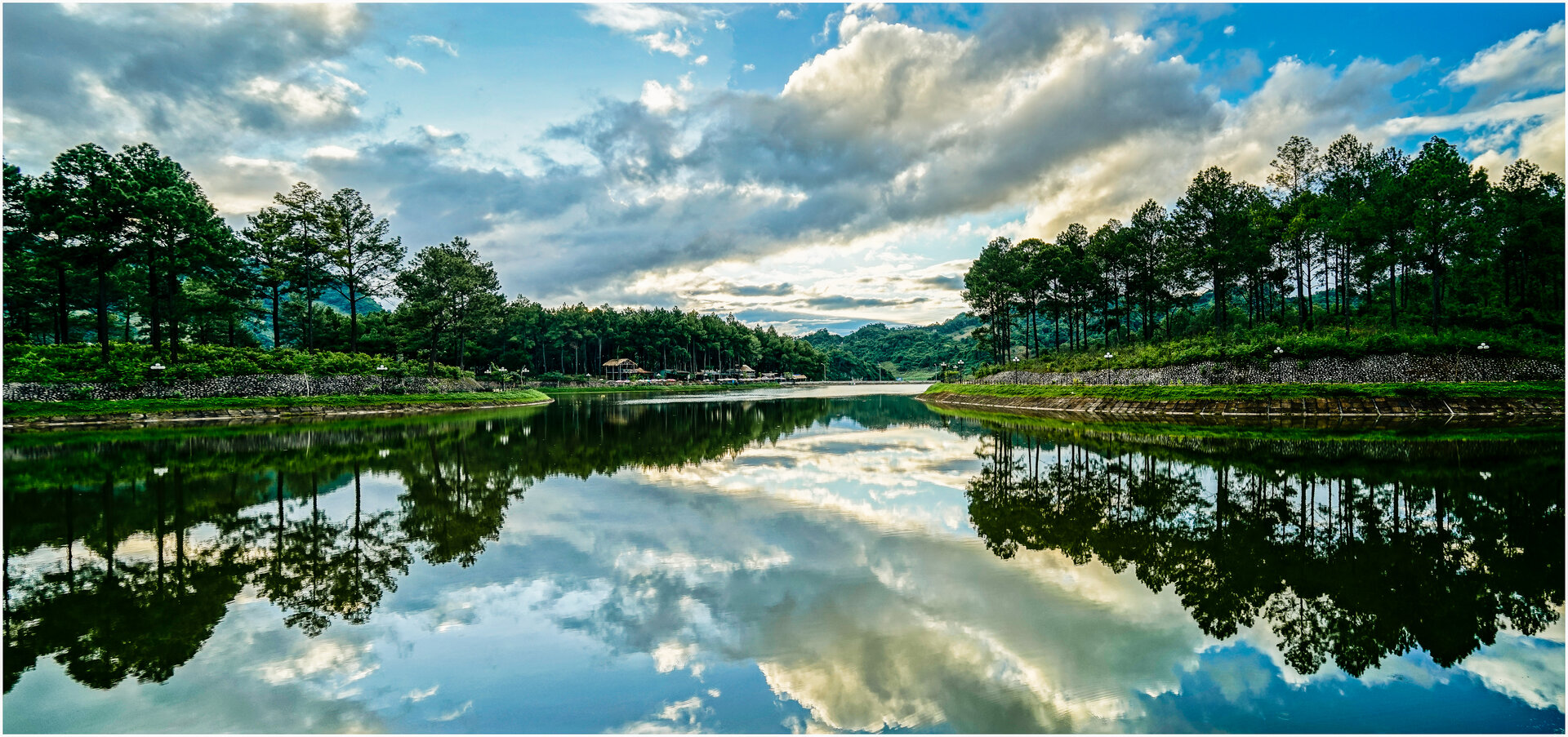 Ban Ang Pine Forest