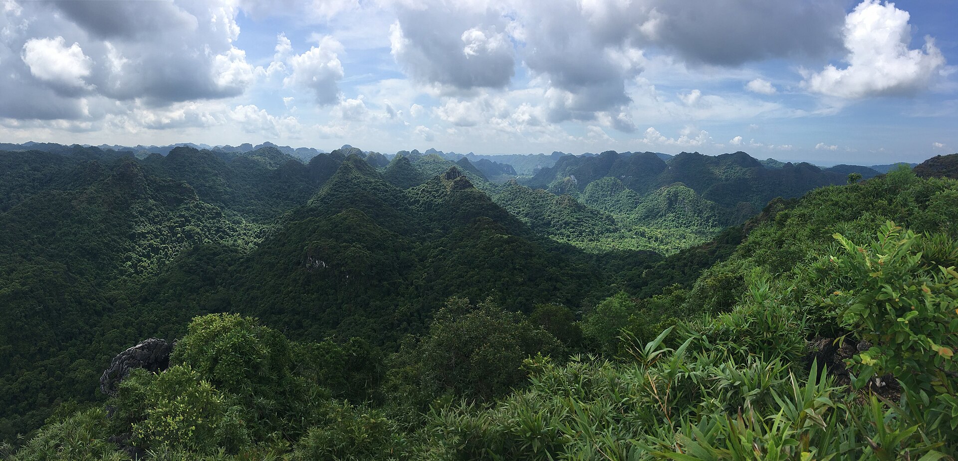 Đỉnh Ngự Lâm