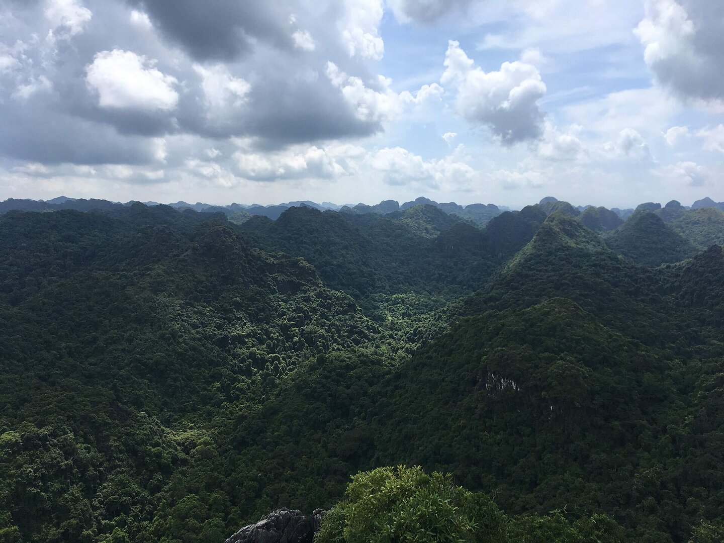 Đỉnh Ngự Lâm