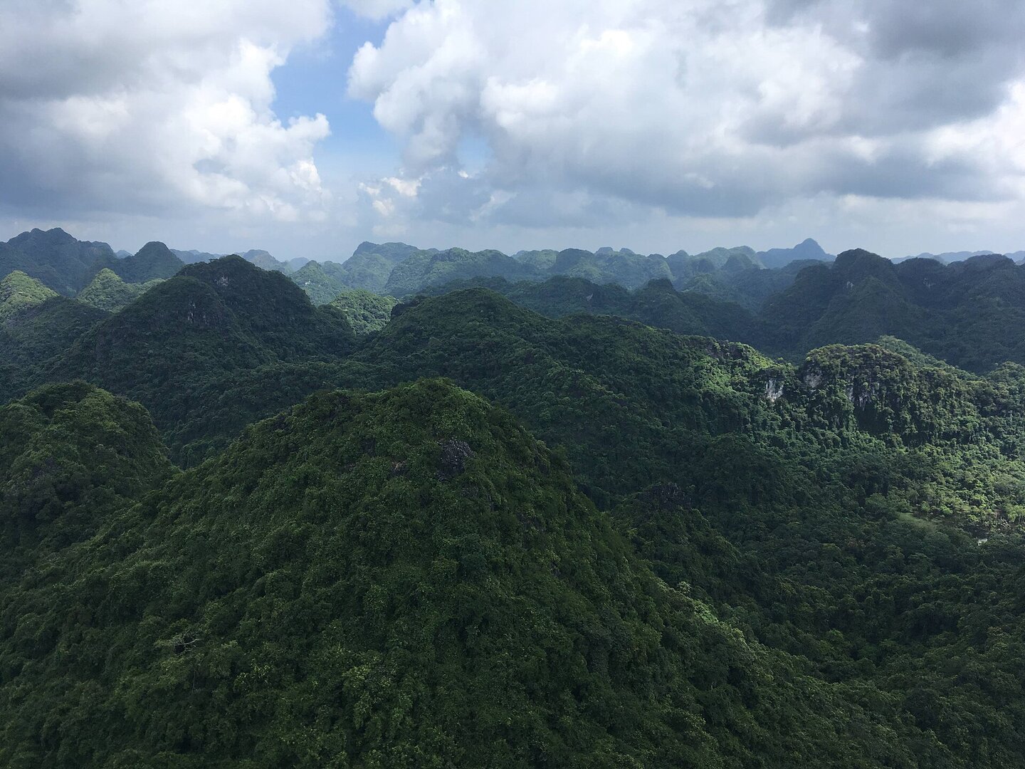 Đỉnh Ngự Lâm