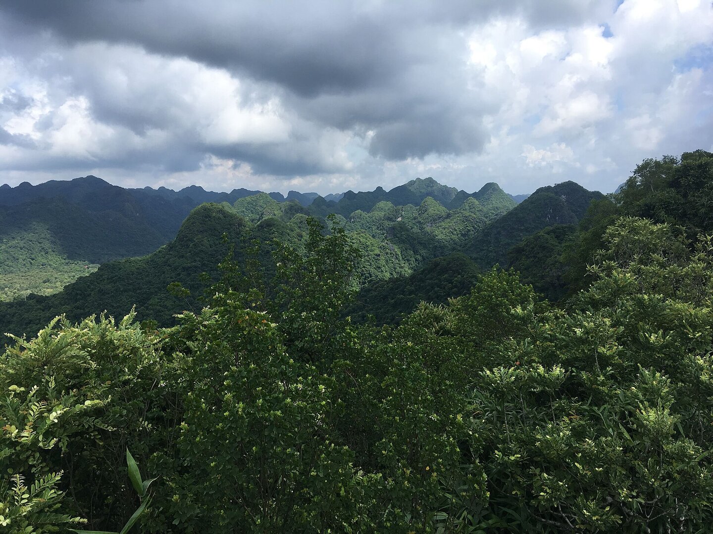 Đỉnh Ngự Lâm