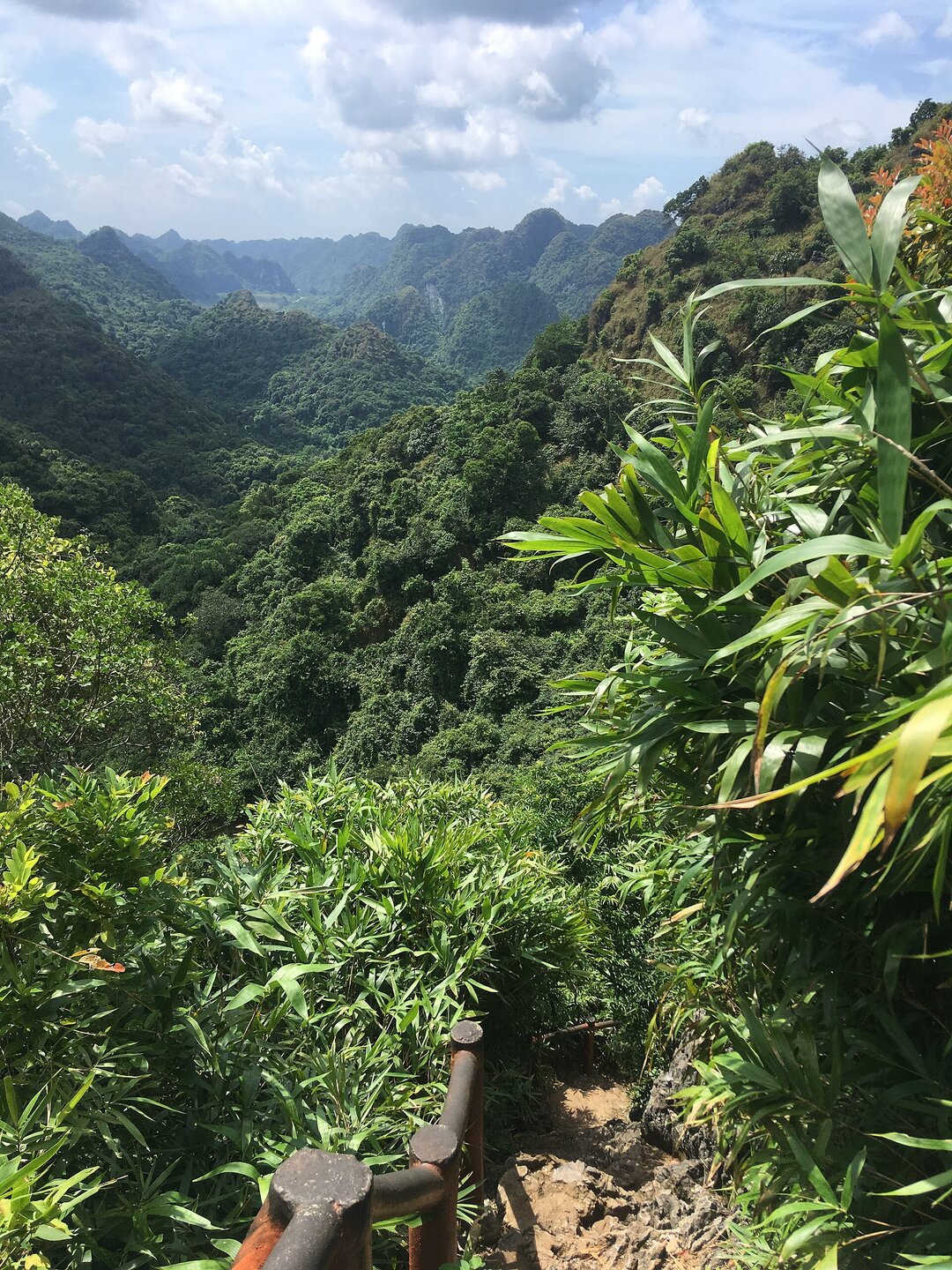 Đỉnh Ngự Lâm