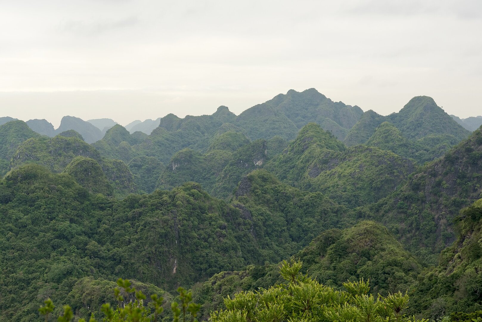 Đỉnh Ngự Lâm