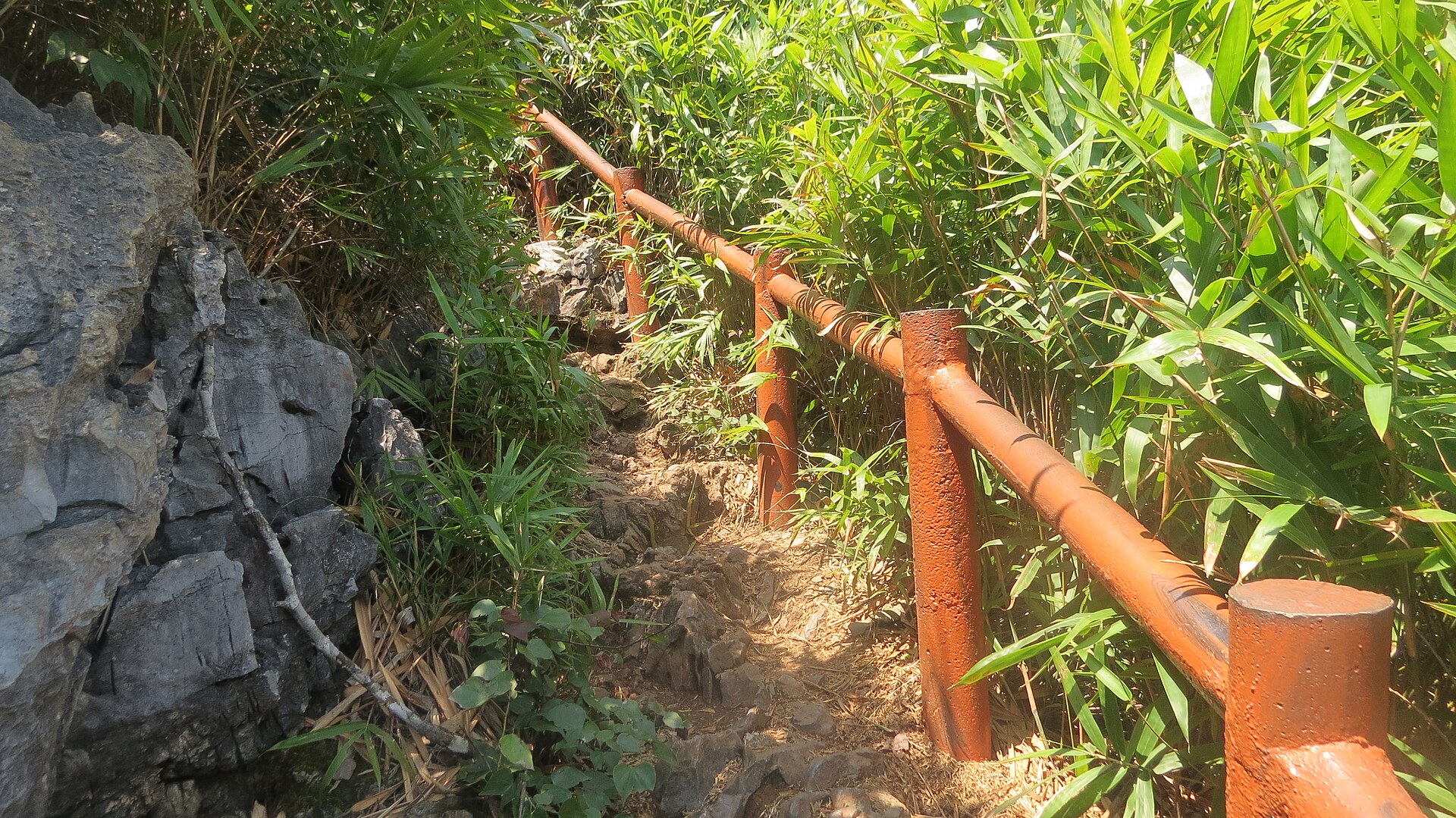 Đỉnh Ngự Lâm