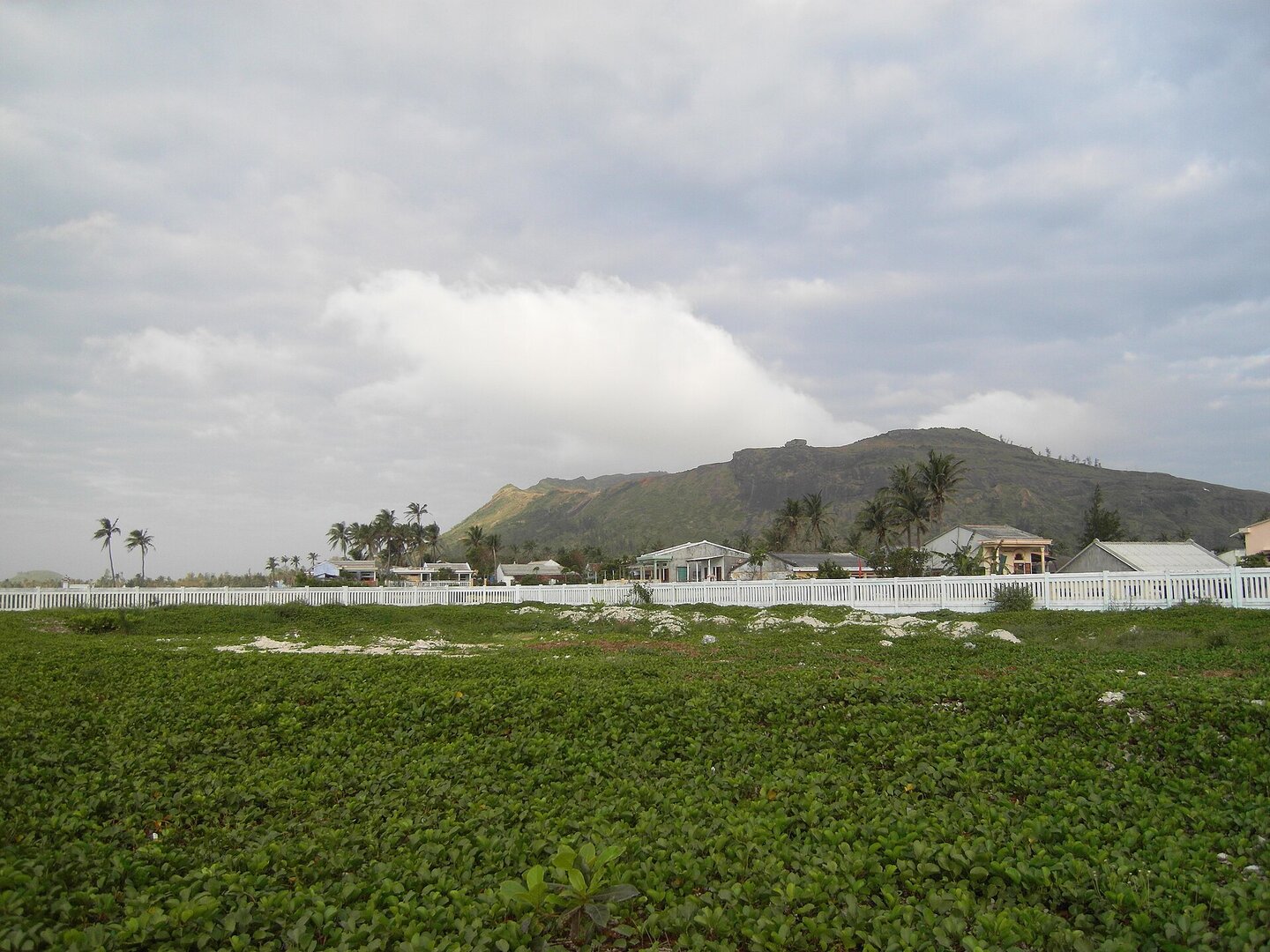 Đảo Lý Sơn