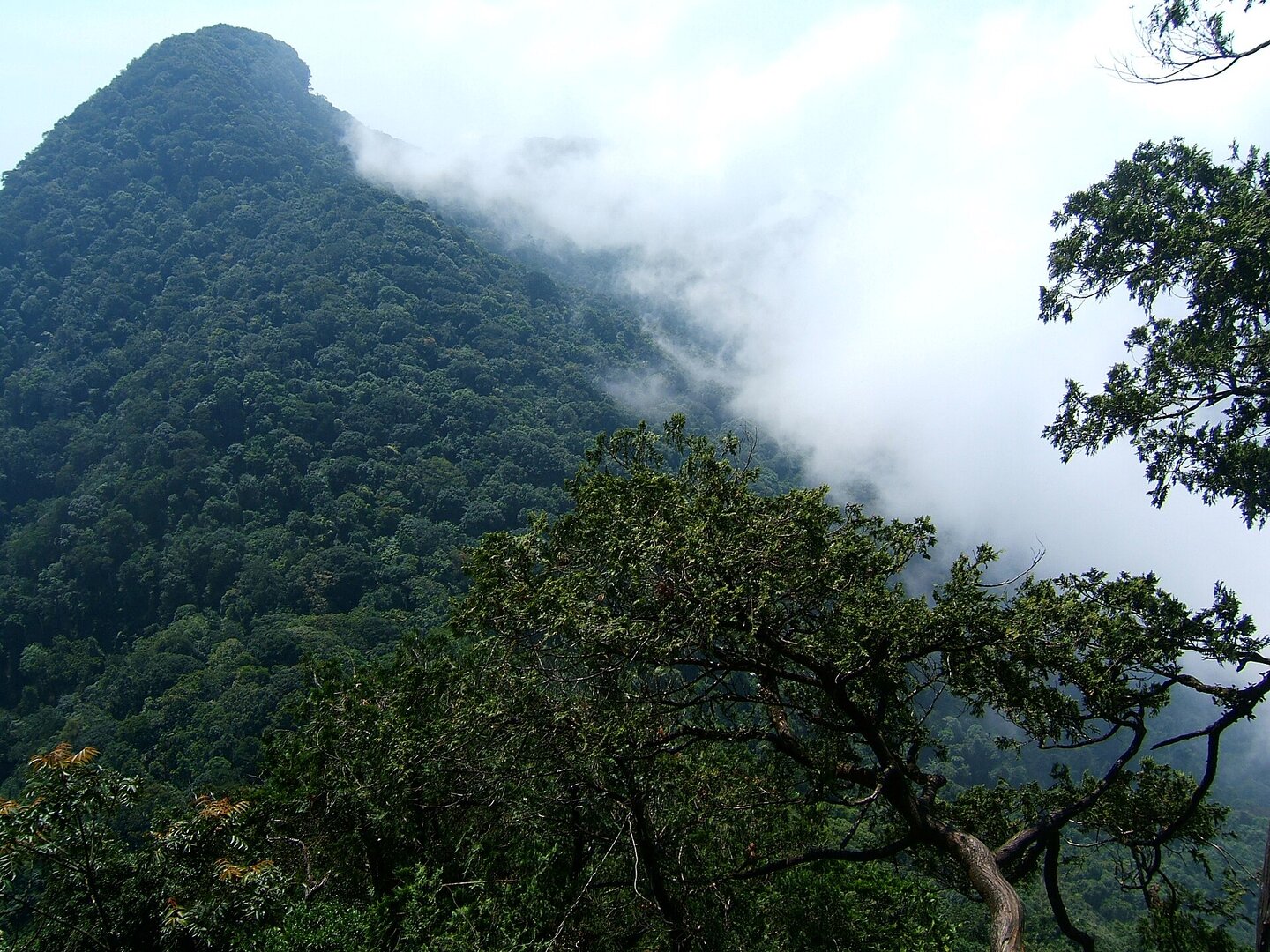 Ba Vì National Park