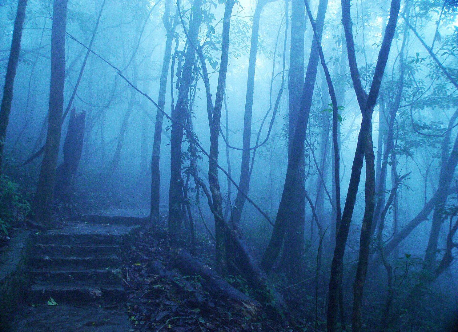 Ba Vì National Park