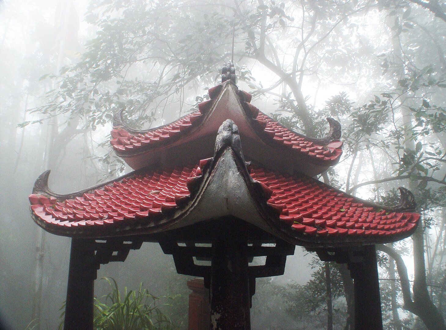 Ba Vì National Park