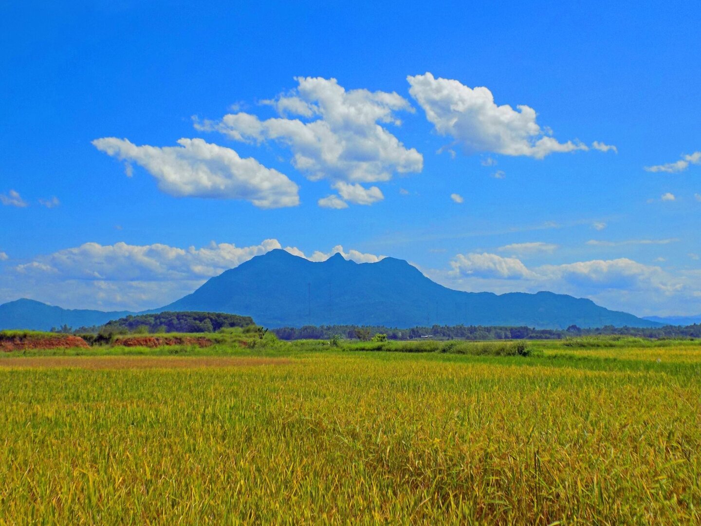 Ba Vì National Park