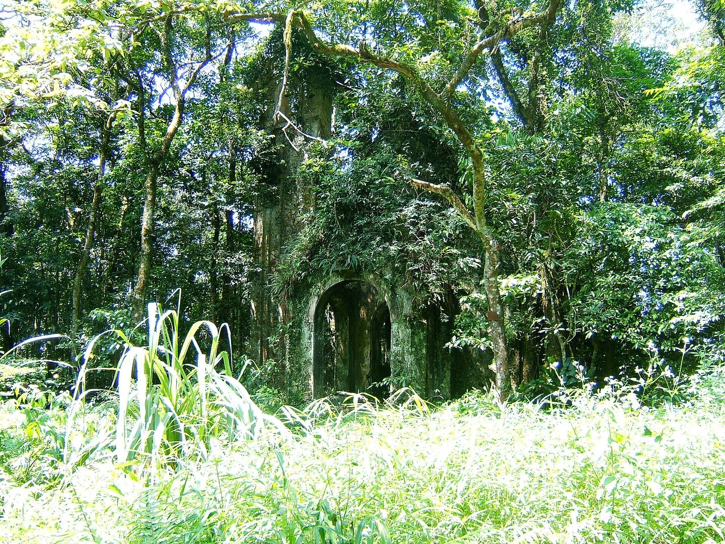 Ba Vì National Park
