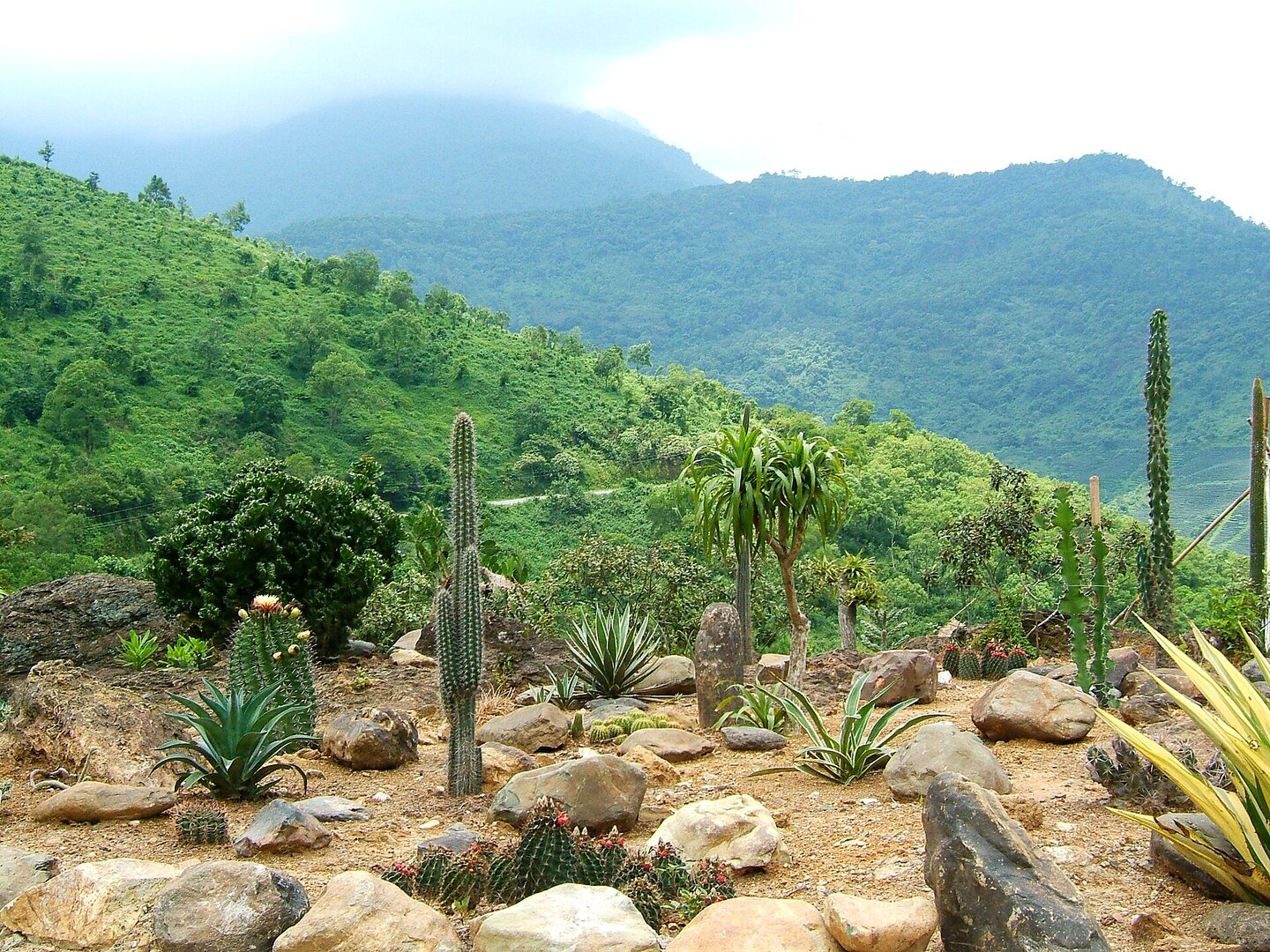 Ba Vì National Park