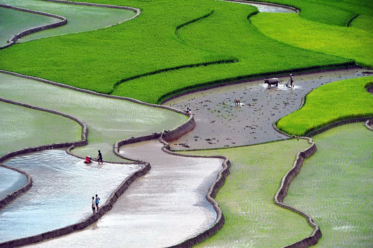 Thung lũng Tú Lệ