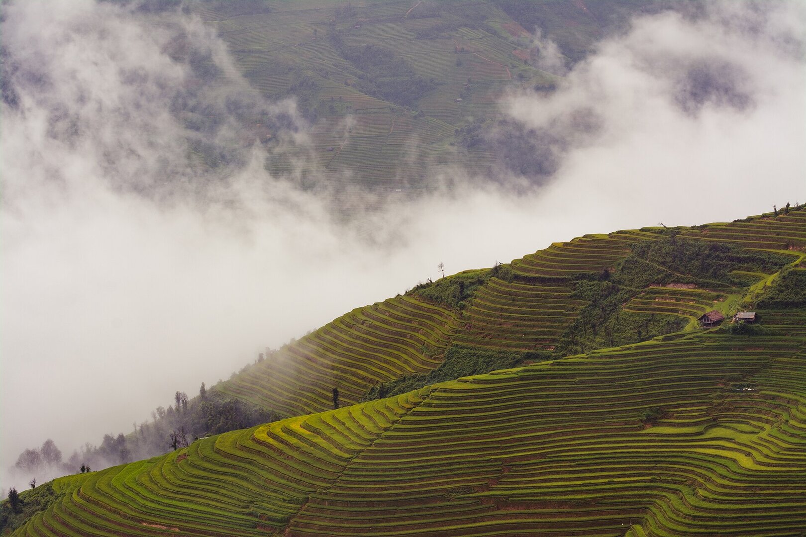 Ruộng bậc thang La Pán Tẩn