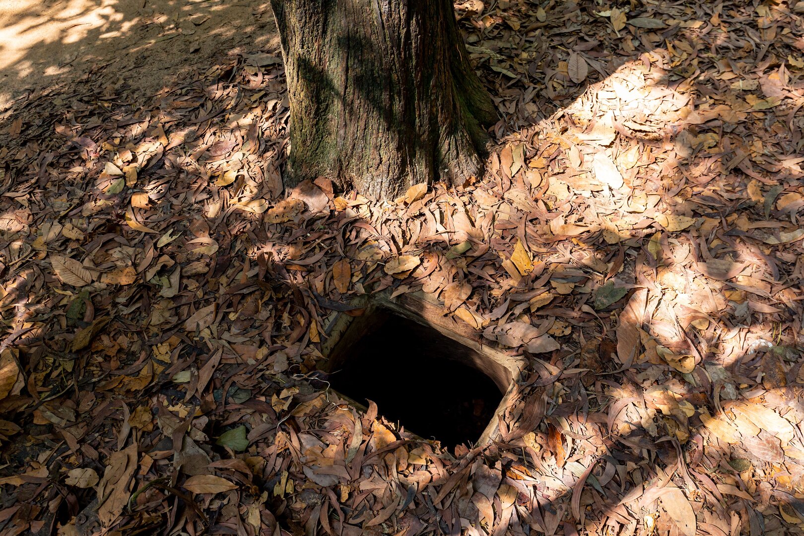 Ben Dinh Tunnels