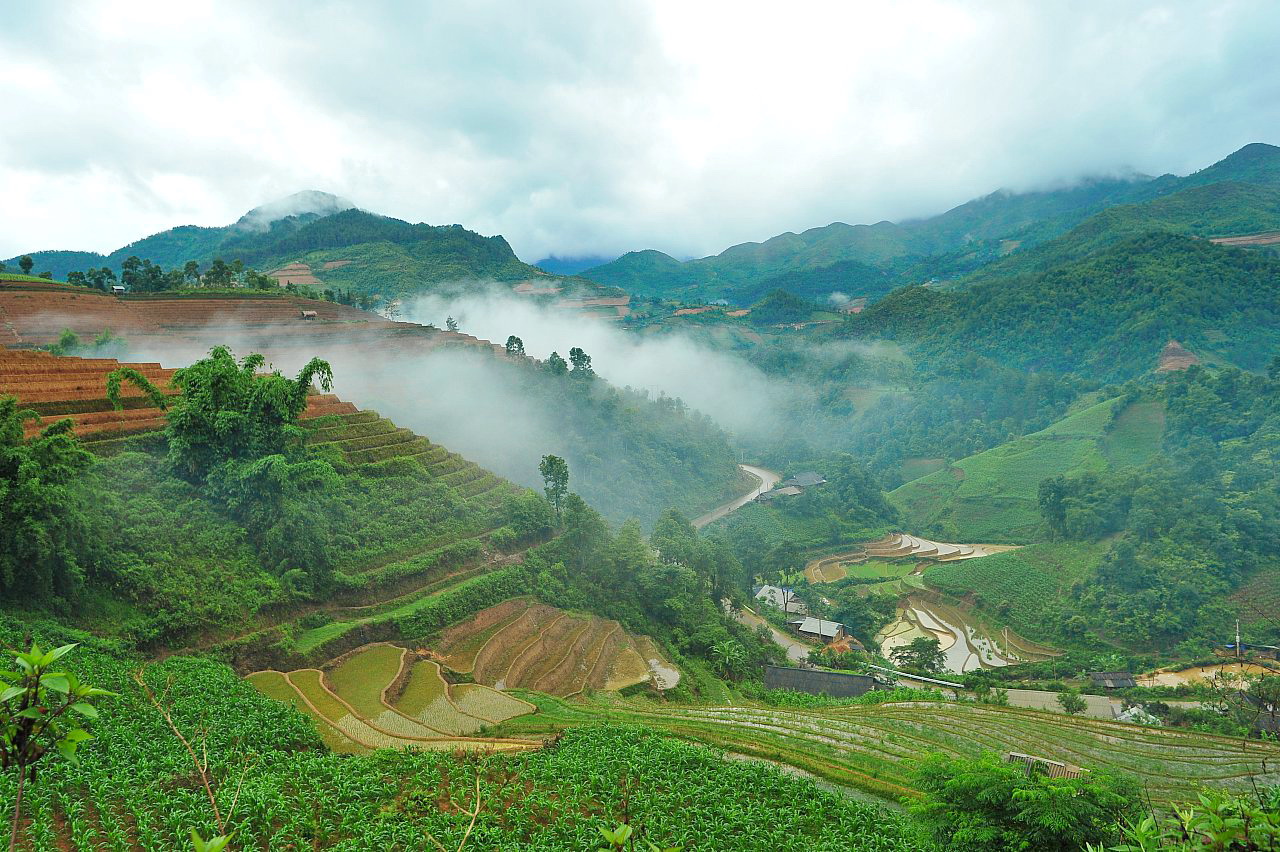 Ruộng bậc thang Chế Cu Nha