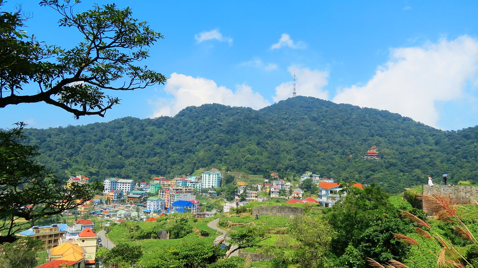 Tam Đảo