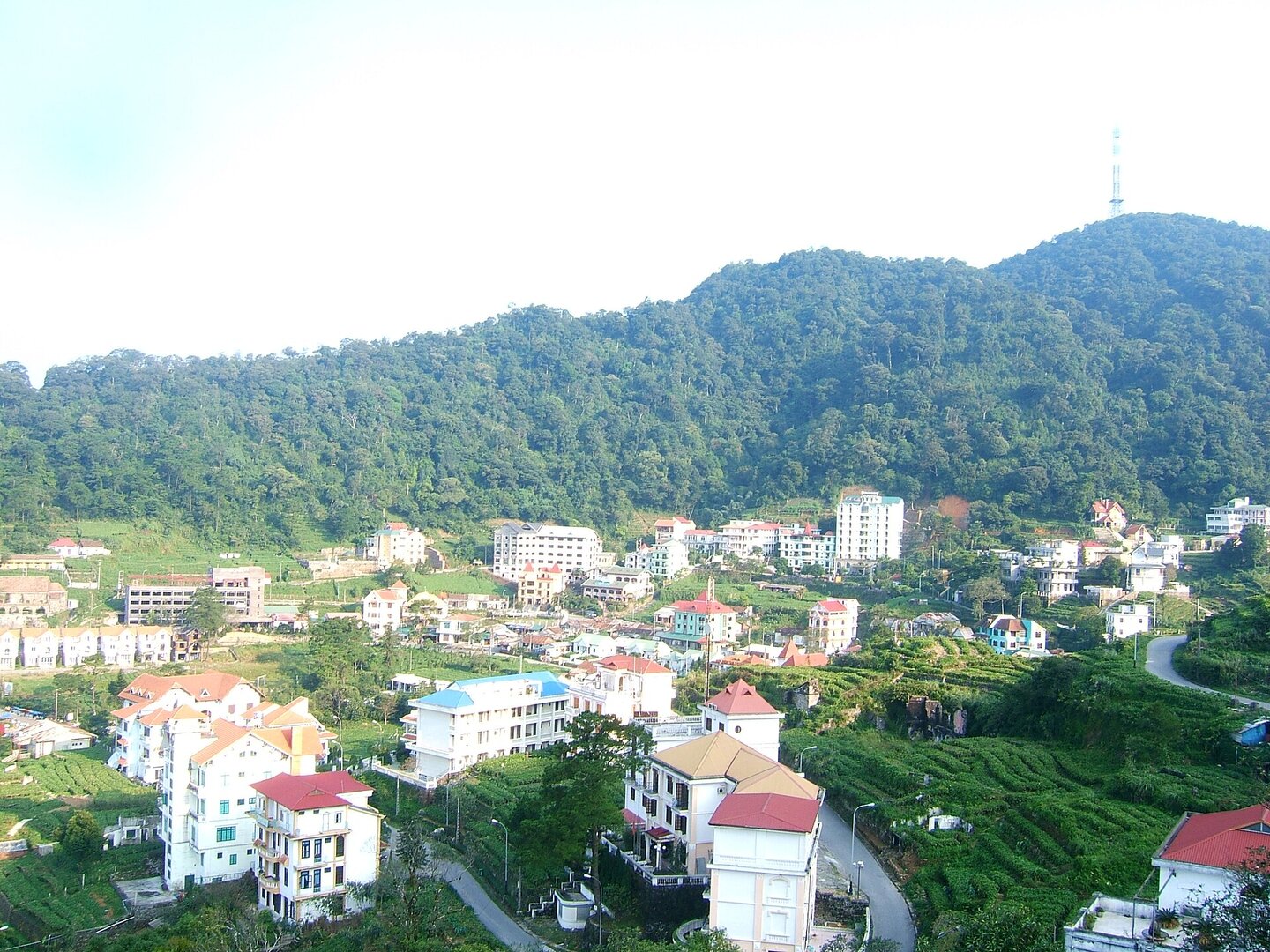 Tam Đảo