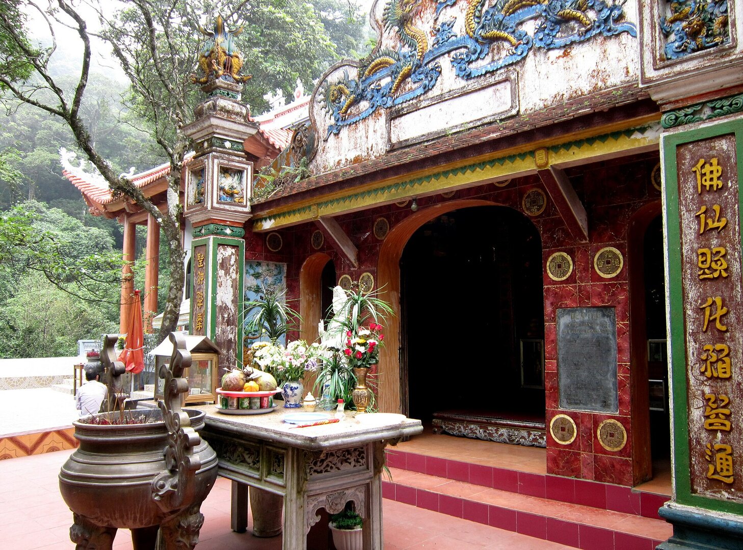 Tam Đảo