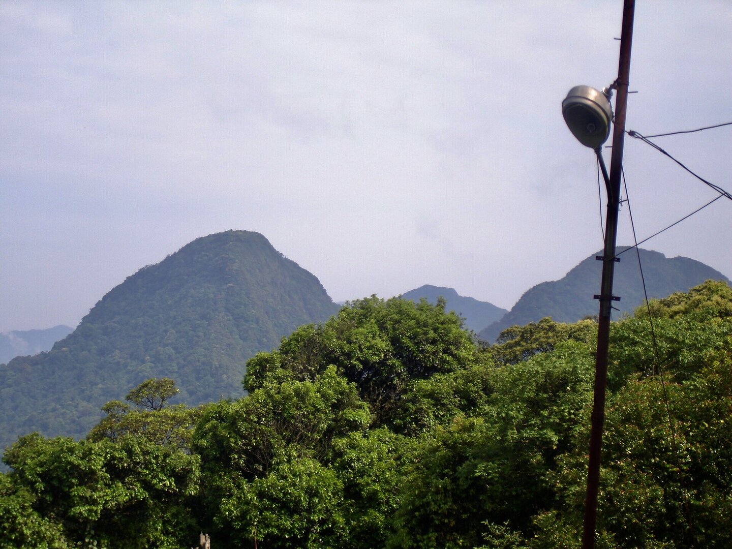 Tam Đảo