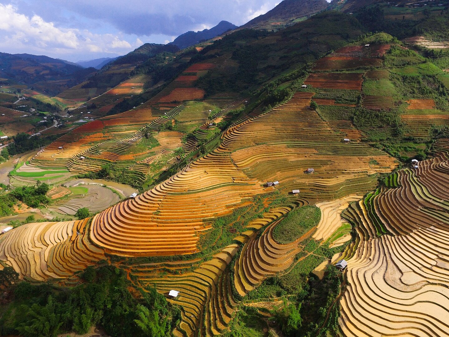 Mù Cang Chải