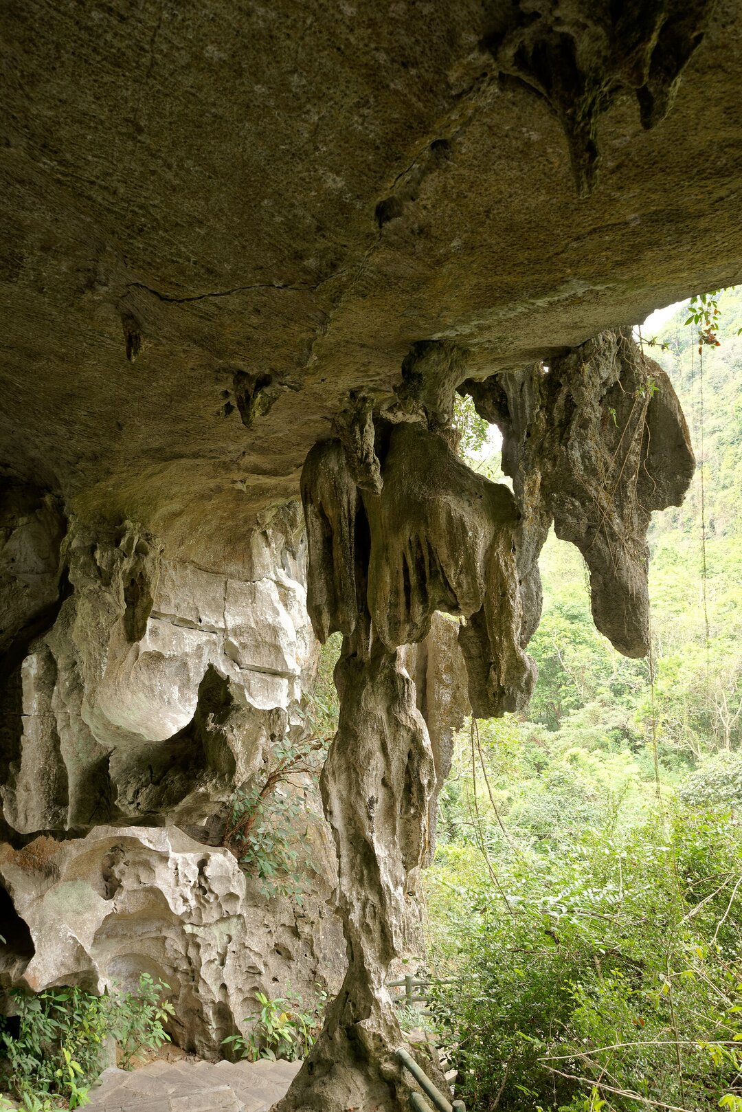Động Trung Trang