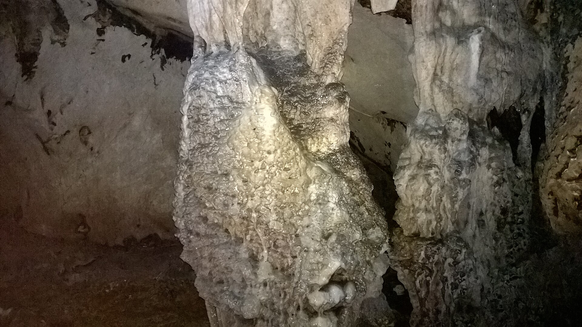 Động Trung Trang