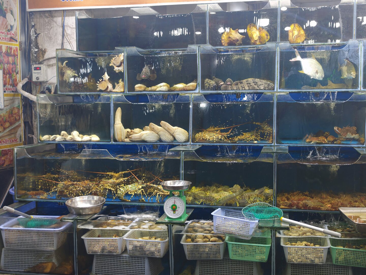 Phu Quoc Night Market