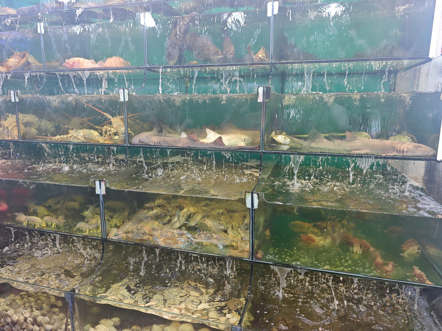 Phu Quoc Night Market