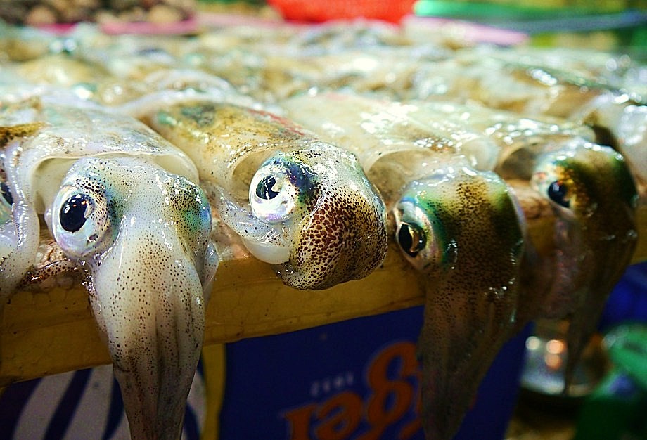Phu Quoc Night Market