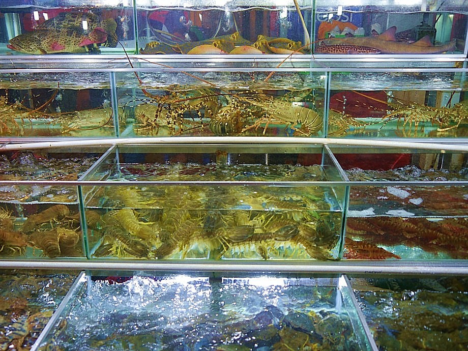 Phu Quoc Night Market