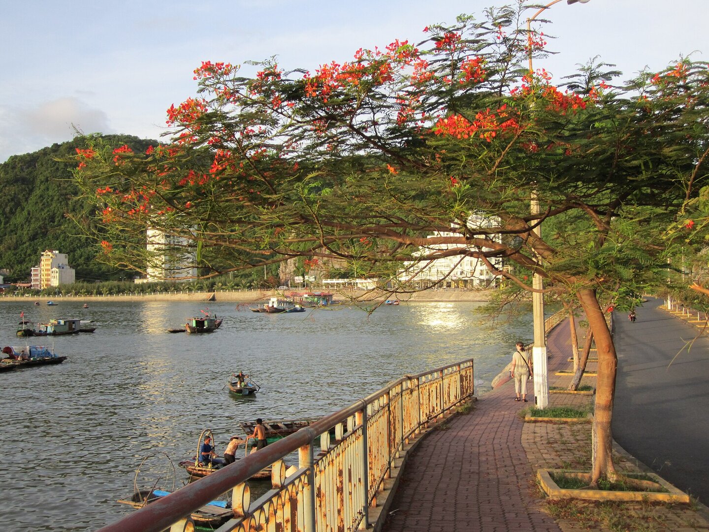 Đảo Cát Bà