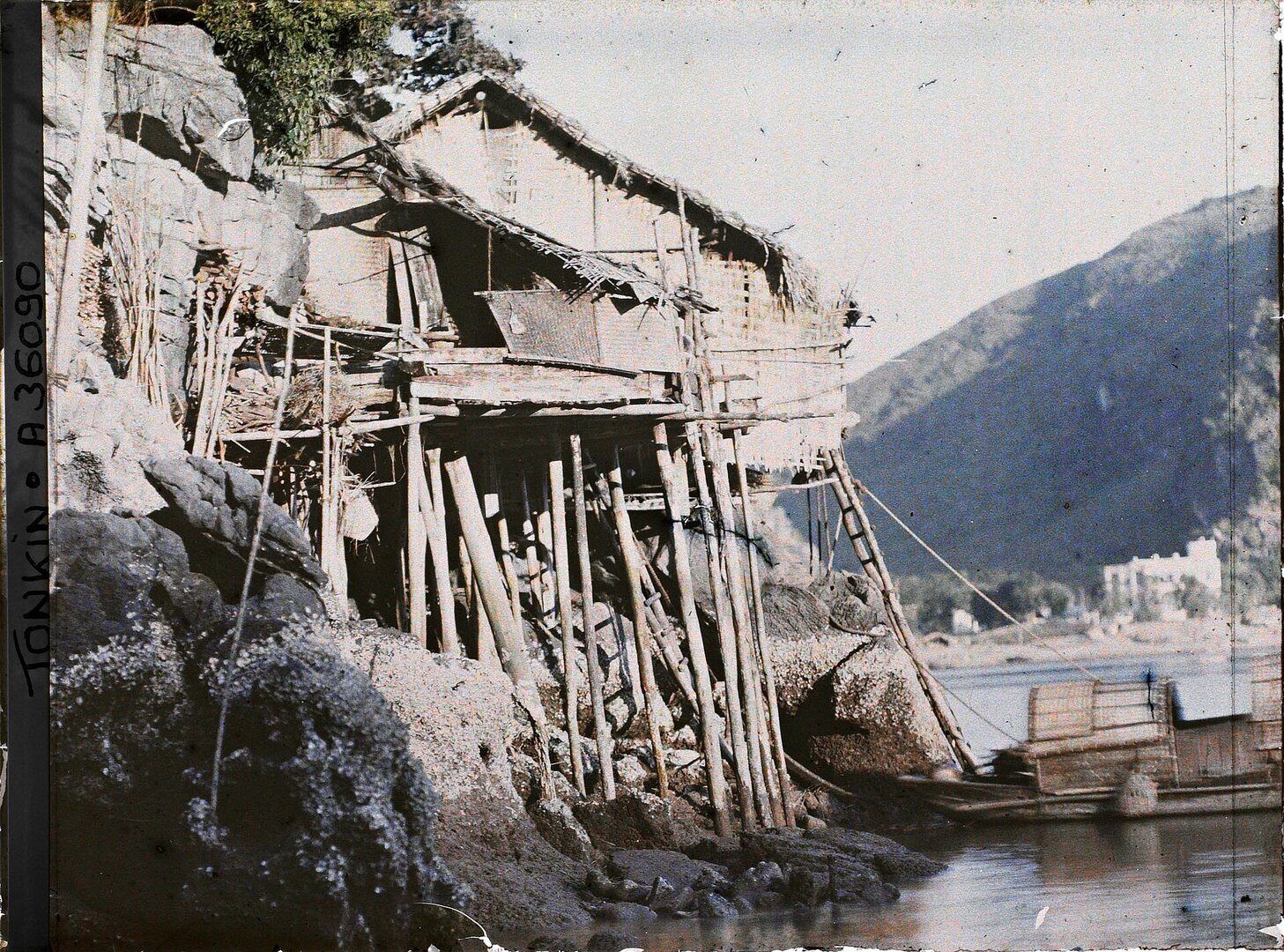 Đảo Cát Bà