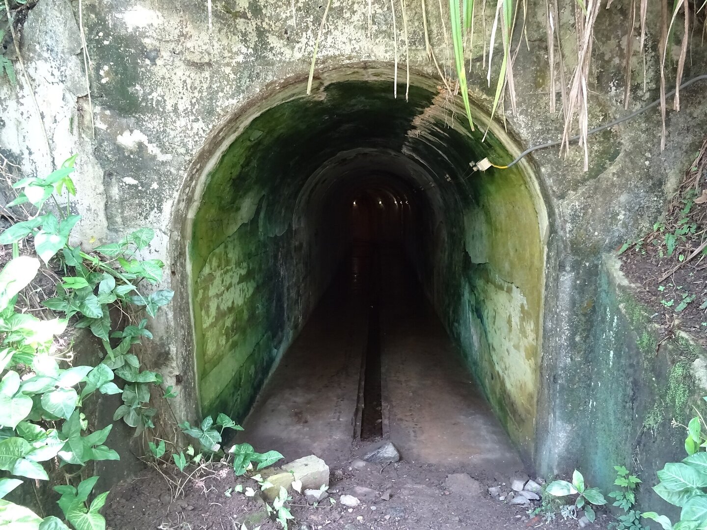 Pháo đài Thần Công