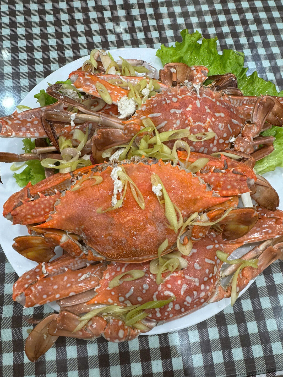 Thảo Minh Restaurant - Nhà hàng Cát Bà
