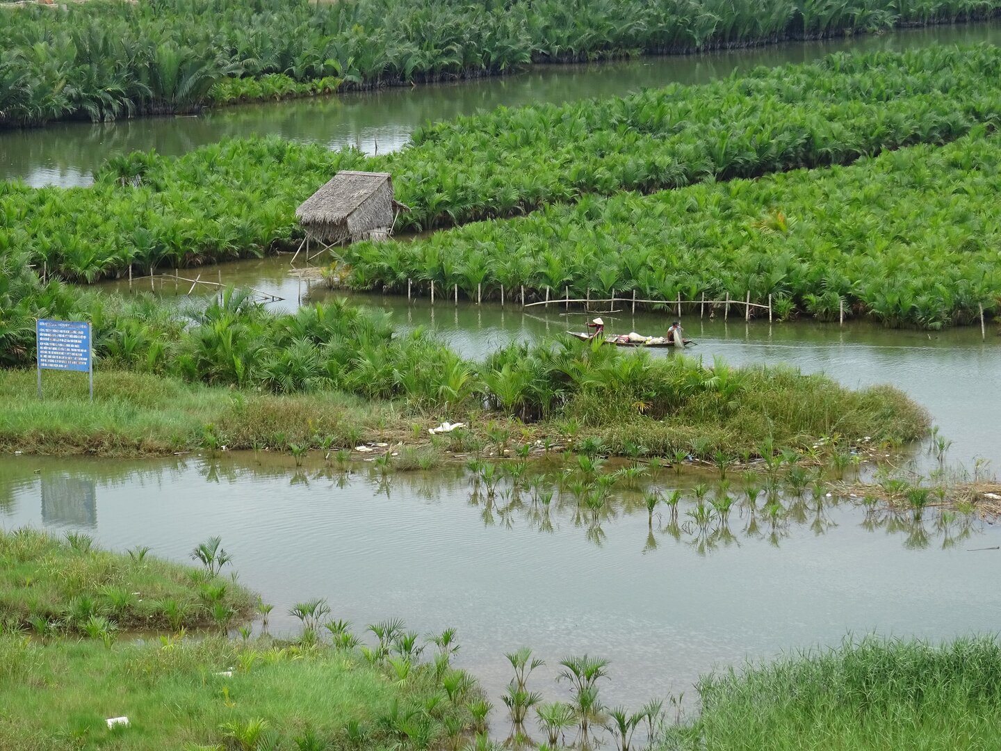 Bay Mau Coconut Forest