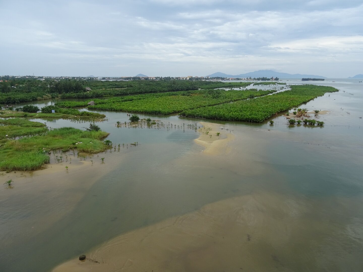 Bay Mau Coconut Forest