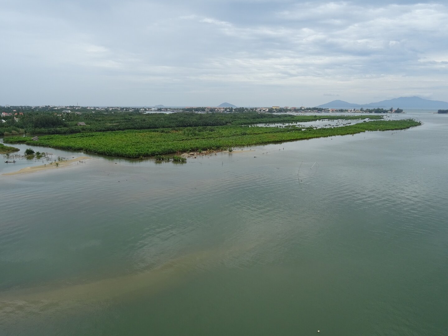 Bay Mau Coconut Forest