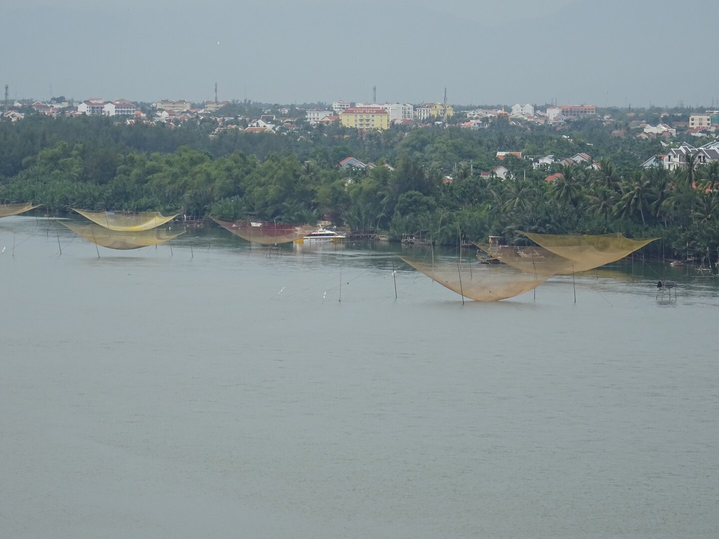 Bay Mau Coconut Forest