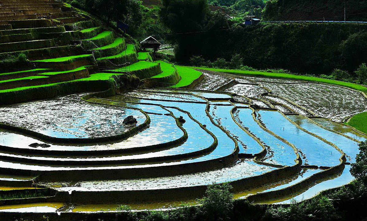 De Xu Phinh Rice Terraces