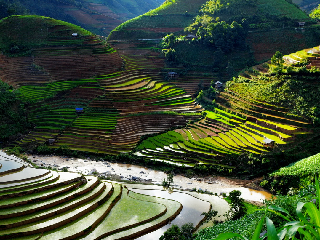 De Xu Phinh Rice Terraces