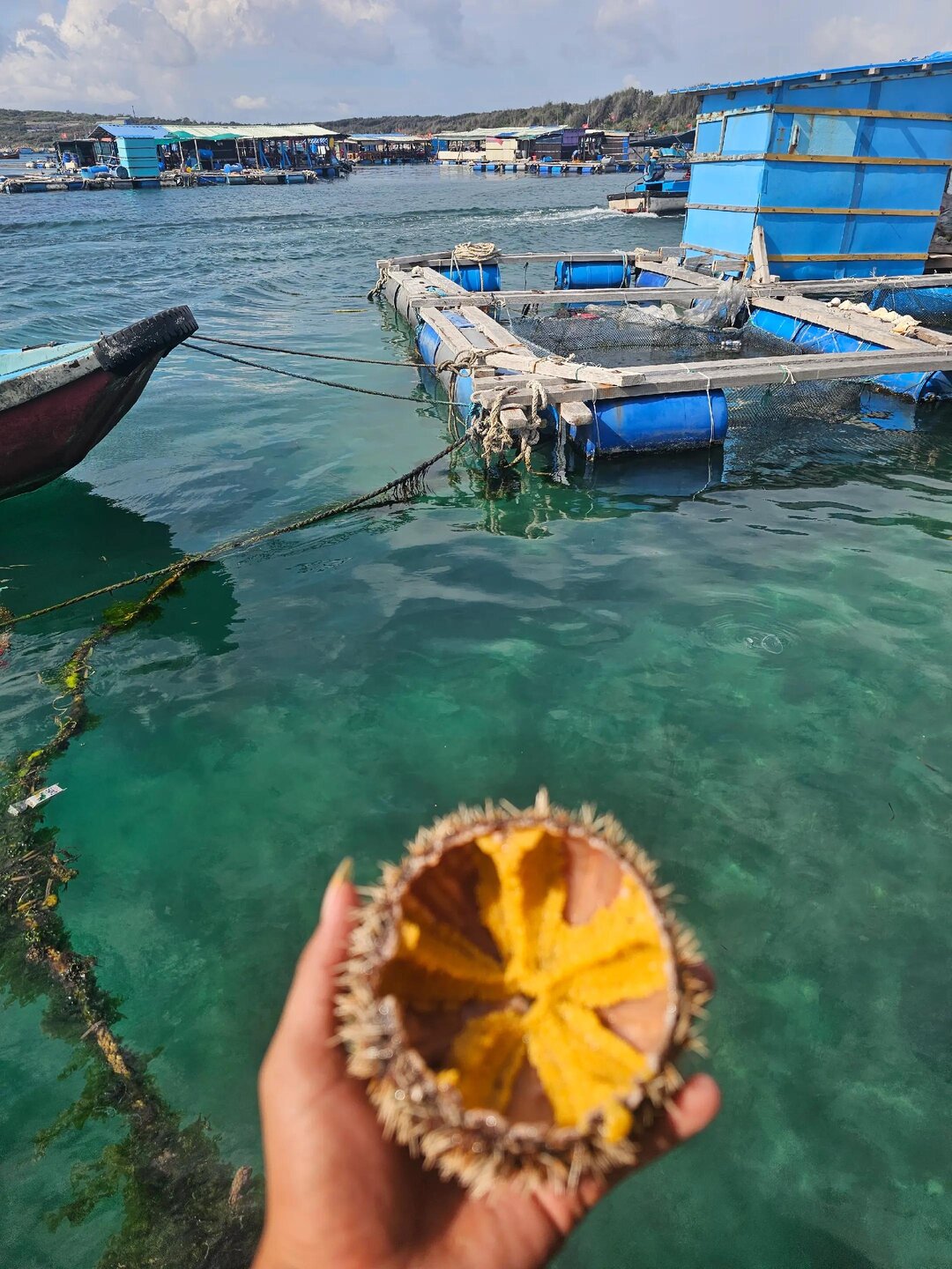 Lồng Bè Hồng Phát