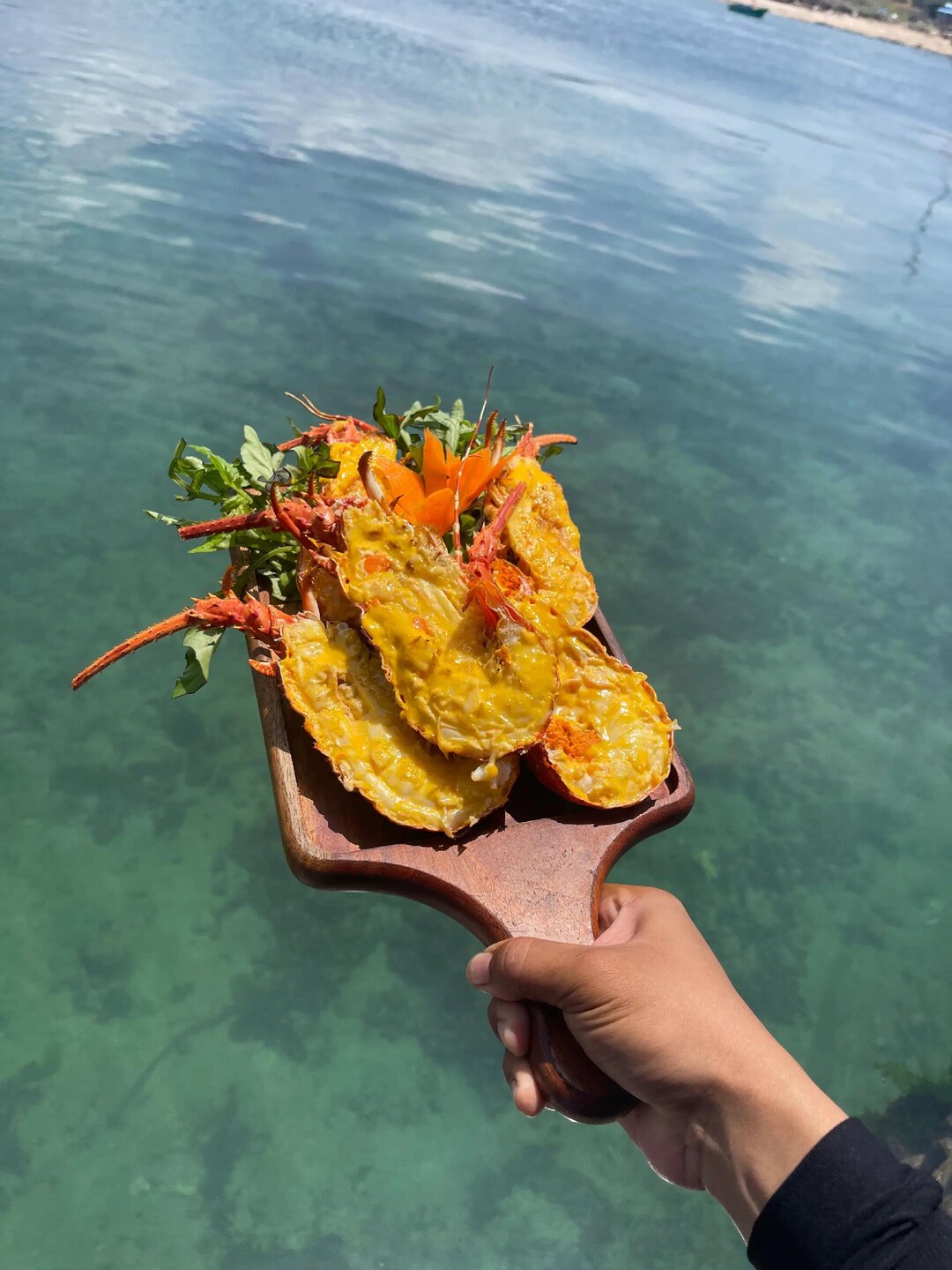 Lồng Bè Hồng Phát