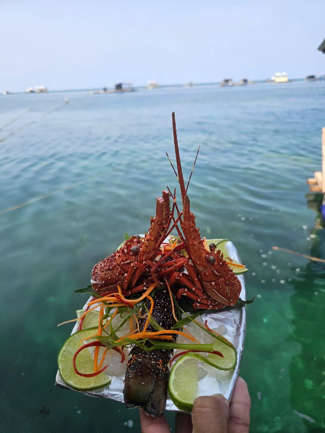 Lồng Bè Hồng Phát