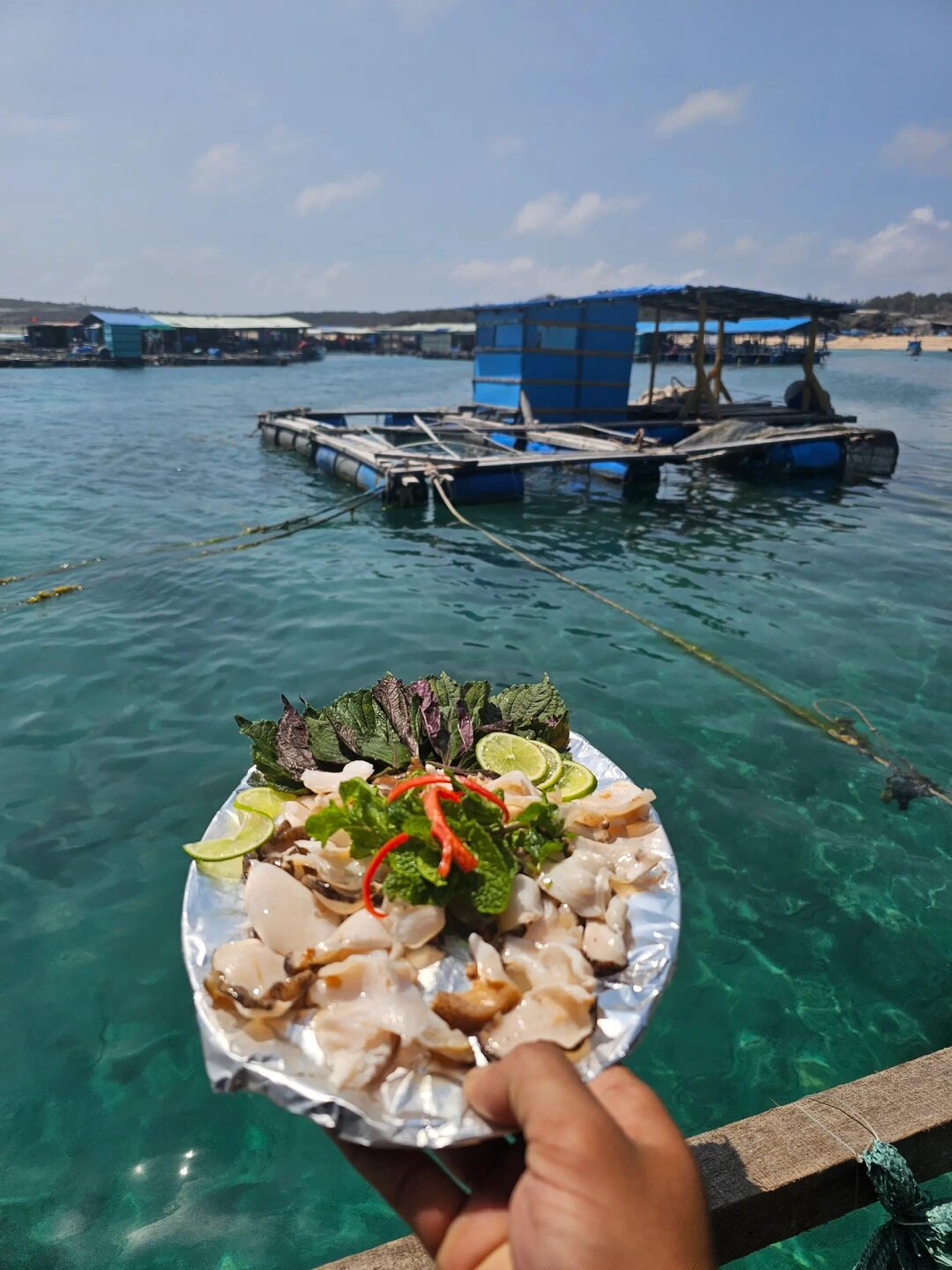 Lồng Bè Hồng Phát